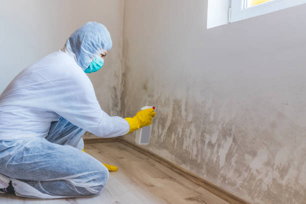 Commercial Mold Remediation assessment for commercial property in Sterling